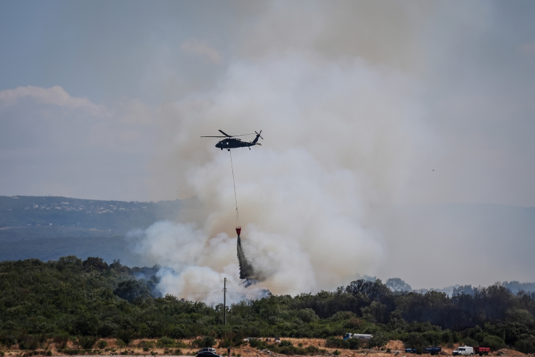 Aa Picture 20250819 38868772