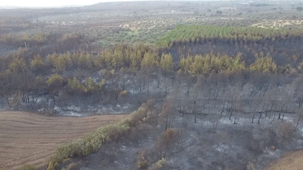 B V 1Lq Git U Cmq Wh Qs 8F0W