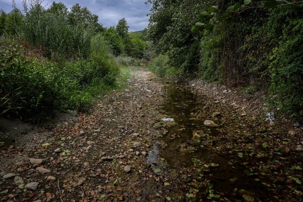 E K B Womu Q0 O D3Ciw292O Xg