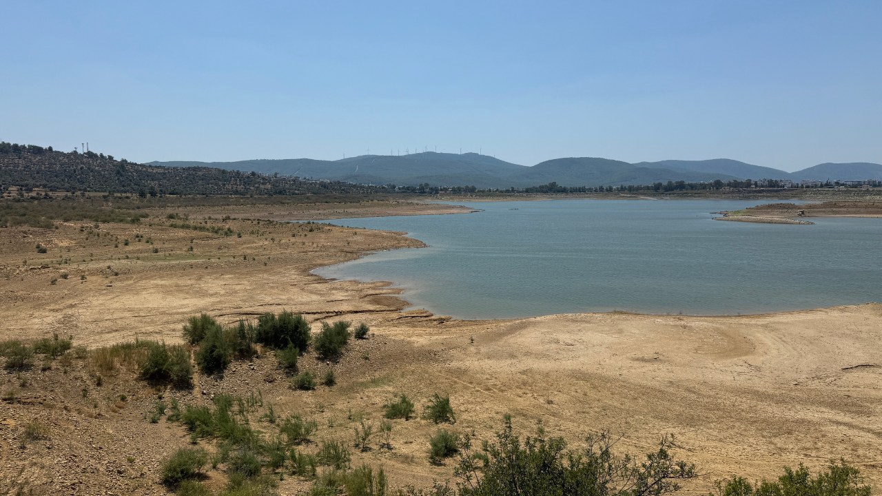 Ekonomi̇st 2025 08 04T174625.766