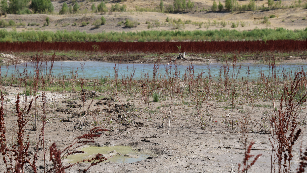 Ekonomi̇st 2025 08 29T112003.730