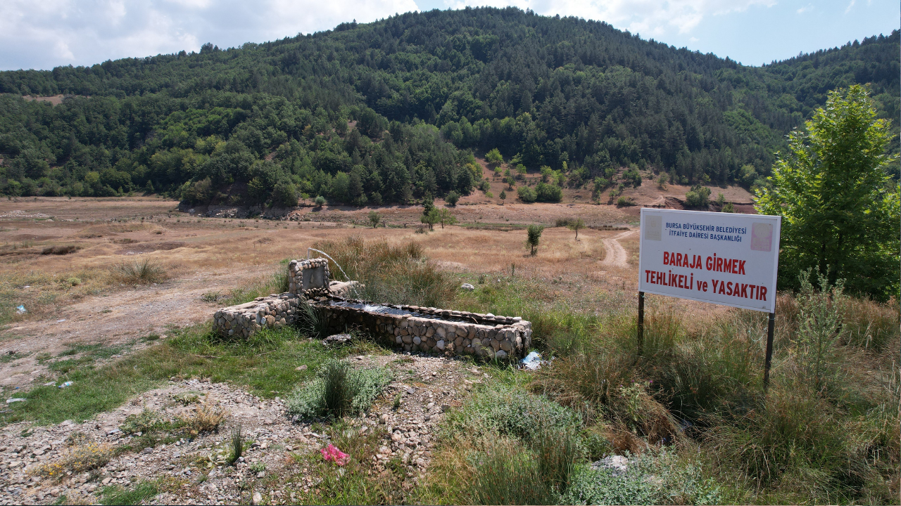 Ekonomi̇st 2025 08 29T121812.867