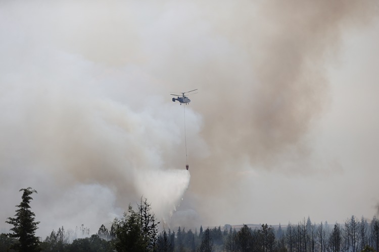 Kırklareli'nde Ağaçlık Alanda Çıkan Yangın Nedeniyle Avrupa Otoyolu Trafiğe Kapatıldı
