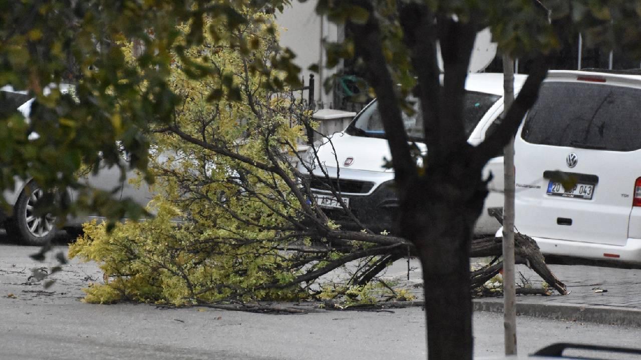 Kuvvetli Yagis Firtina Agac Devrilmesi Denizli Iha 2216430