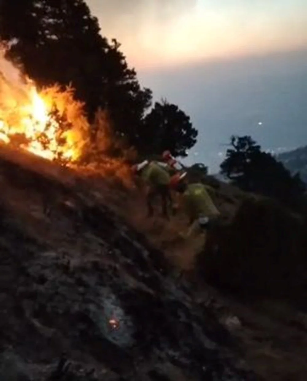 Mt6Pxt A Eq 1 Ytxmj2 Hxg