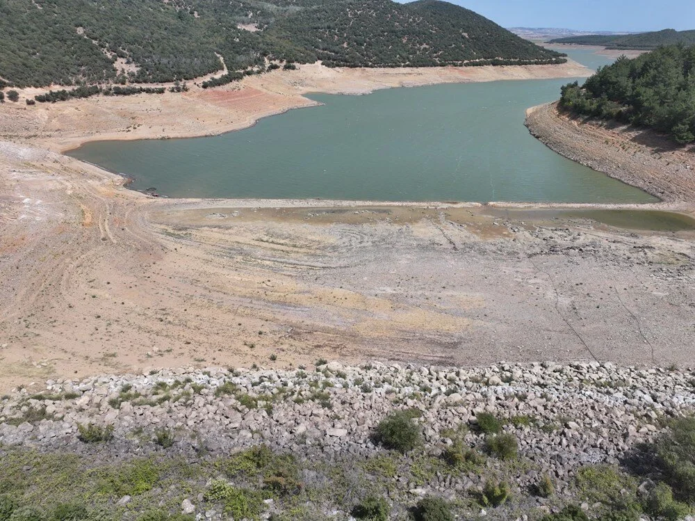 N Z K Oth7Z S U An N Illq Deig