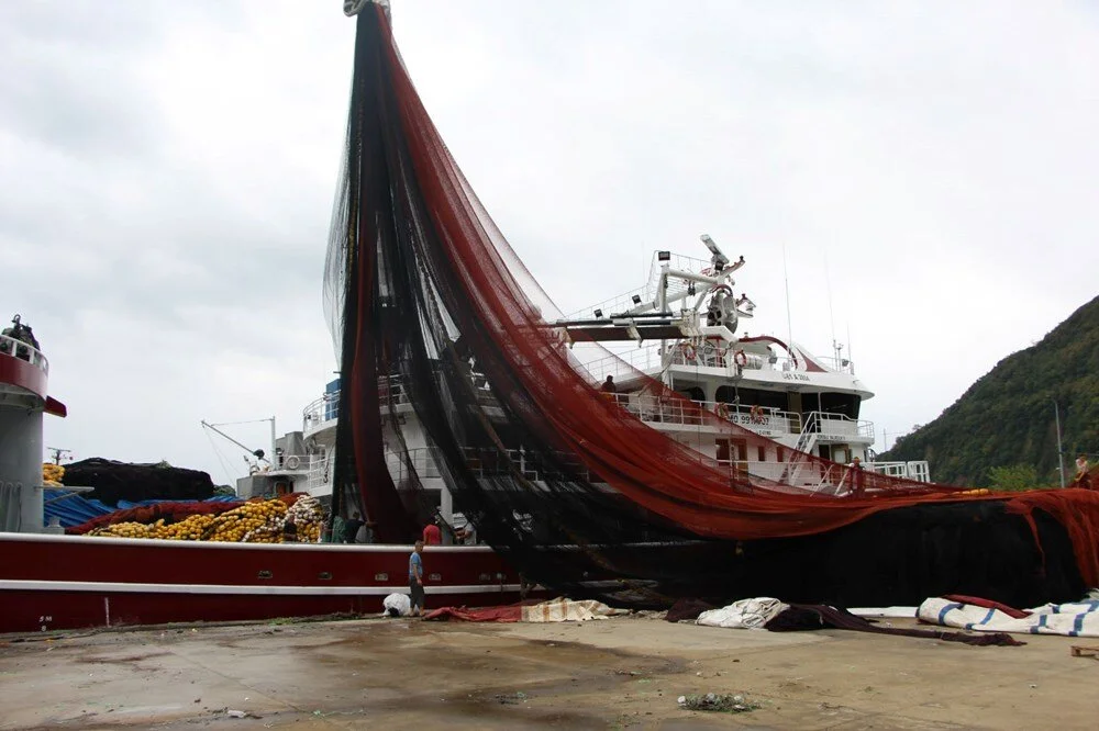 O7 Rp H Bp Wa Uqf F O S Lwpc98 A