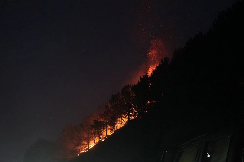 P Up Qd Rfz U Cmsy9Pprhh A Q