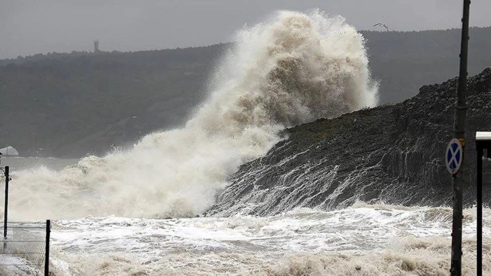 Qenu89 T F T E E Ny Jxd5 D3 Qw