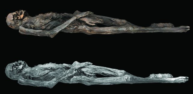 Resim 2025 08 02 103629504