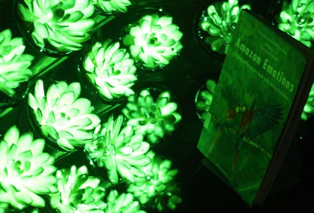 Resim 2025 08 28 100221879