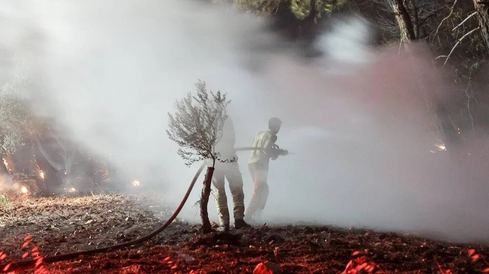 Saol Ut V Sr Eis H L 5Sk S A