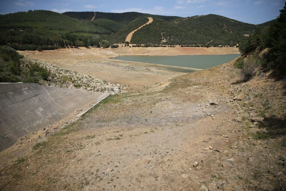 Tf M Y J Q C Ghk K38 B P R Zfx Sg