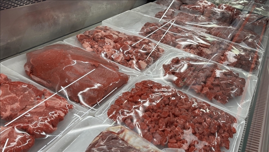 Thumbs B C 4Fc188E29B15F0F677Cd31E694D3C8Af