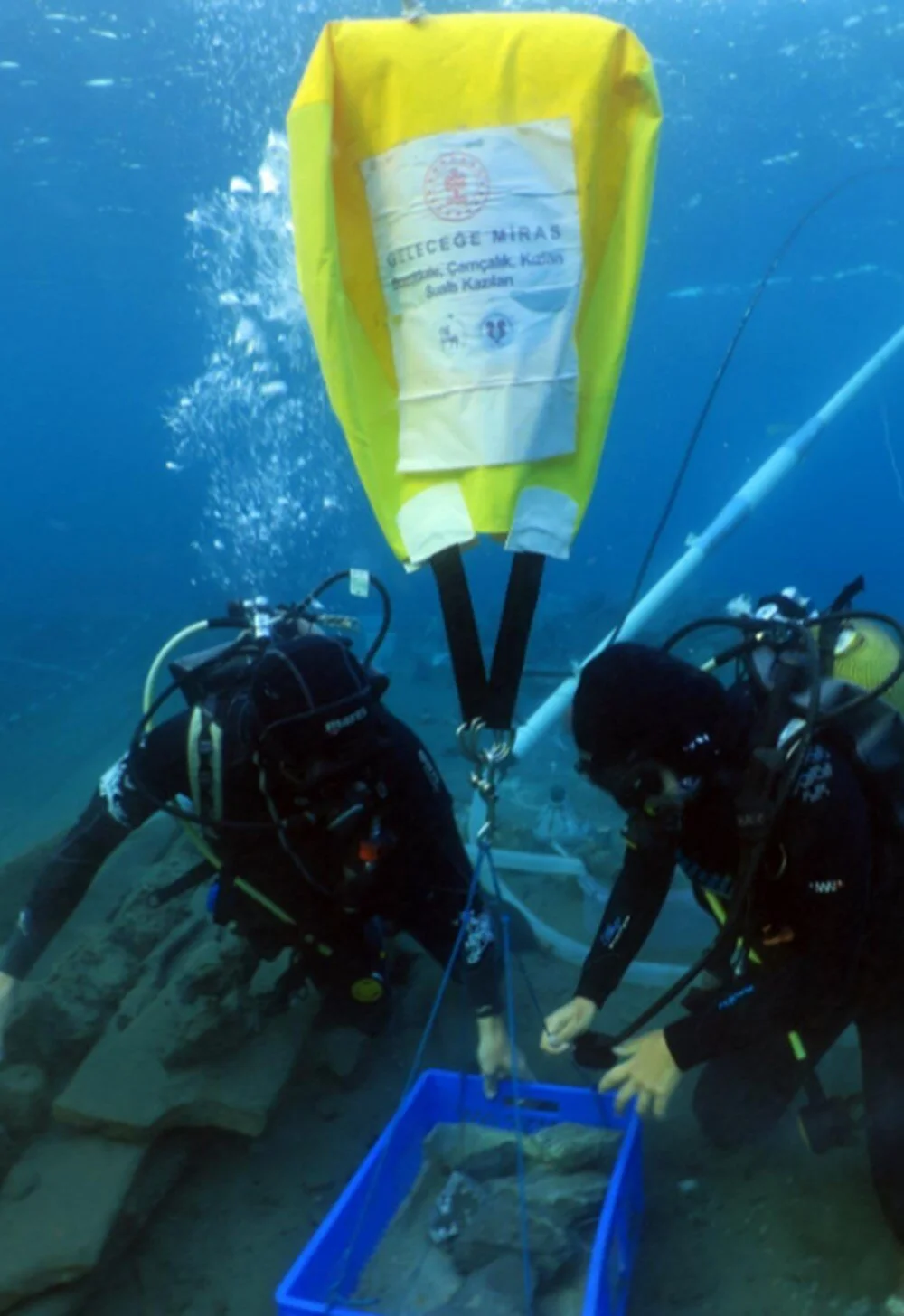 X D2Ed V Jaz U 23 Bn V2C Nvd Q