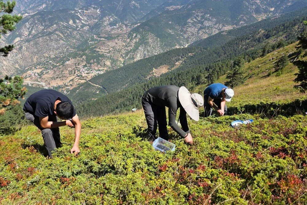 11 K0Ux C6K W Nlf D7 K D If Dw