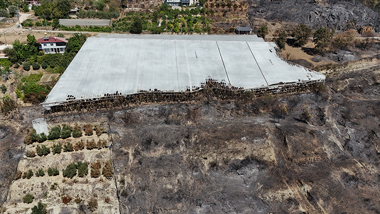 2025 06 20250922 2 70879481 117326686