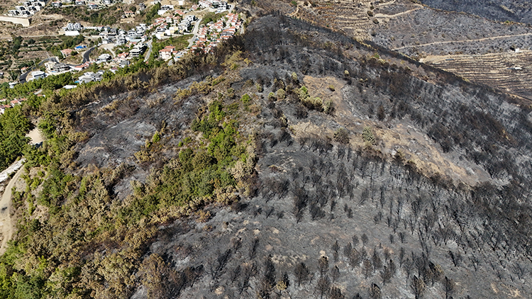 2025 06 20250922 2 70879481 117326695