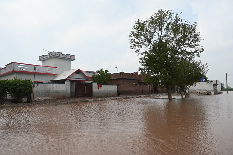 2025 09 A A 38959634