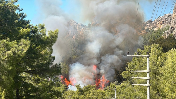 2025 09 A A 39183992