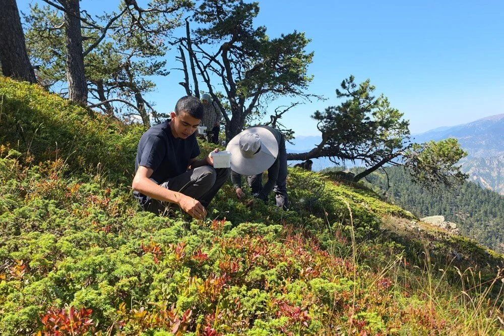 6 U C8X Uml Ak Klr P5A Txt Gwg