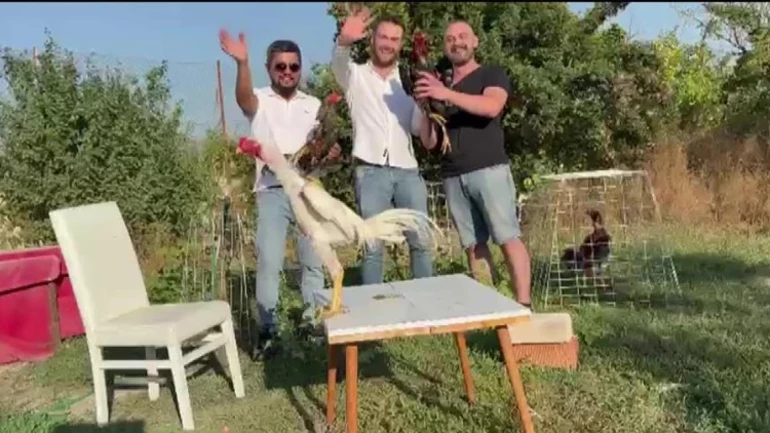 68B54A4Bb9698631E414256A