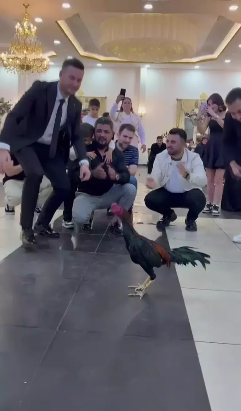 68B550090E0350Bc79677B60