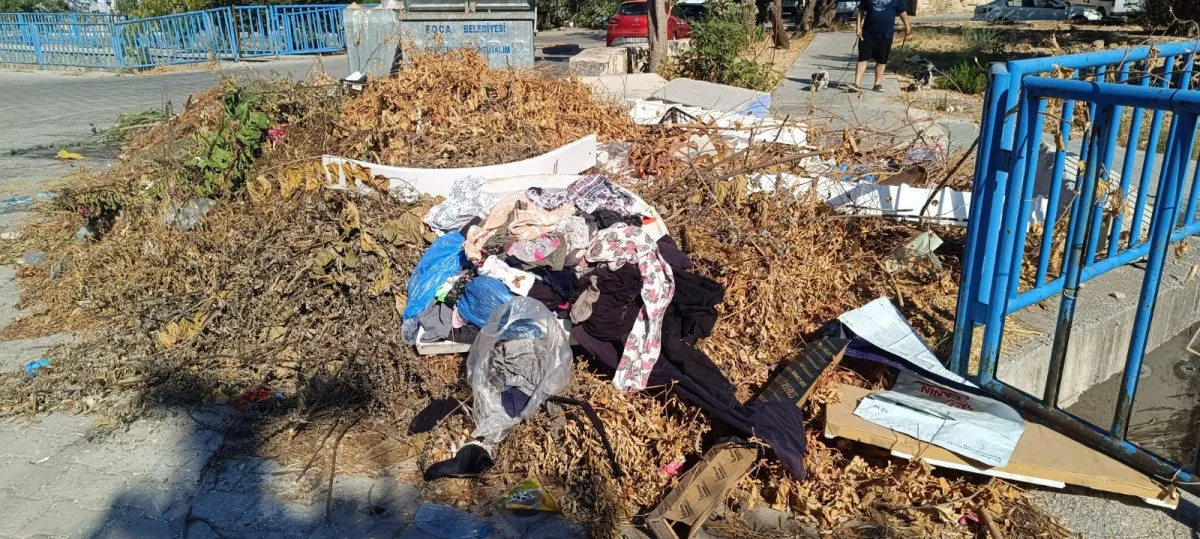 68B5715Ad01F2477 W1200Xh539