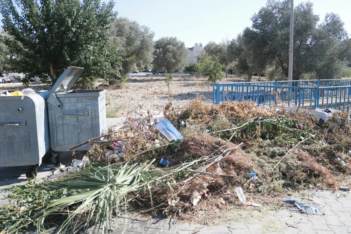 68B5716365D07802 W1200Xh800