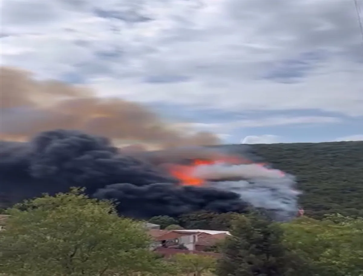 68B598F82B8B3213 W1200Xh912