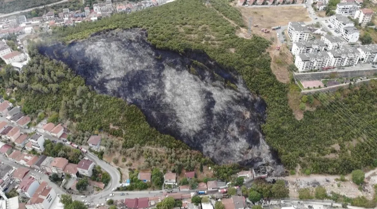 68B598Faa7406403 W1200Xh664