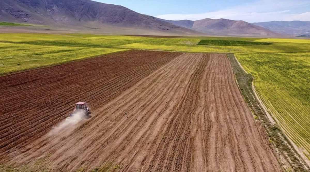 68C6659Ce7856559 W1200Xh666