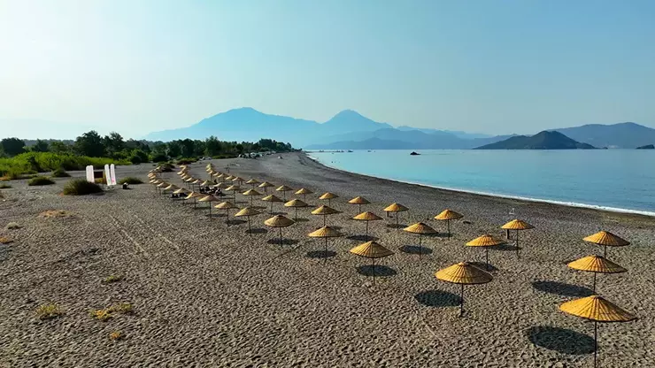 68Cfc1Ad7B23Aec394C23017