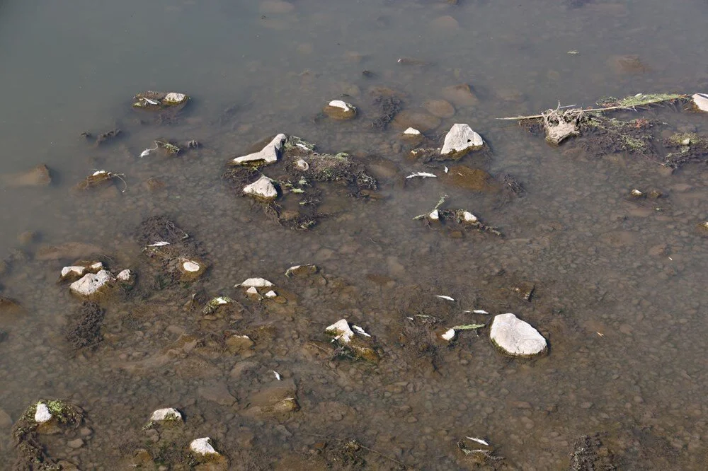 832 W I Ti F C E C D Cf A3 O Mkflg