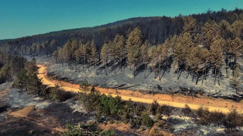 9 E O N Ka V X0 O Um7Yuahlra Q