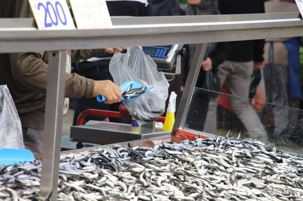 9E J K C Yu N A E Yr Kt7 S9 A Tp A