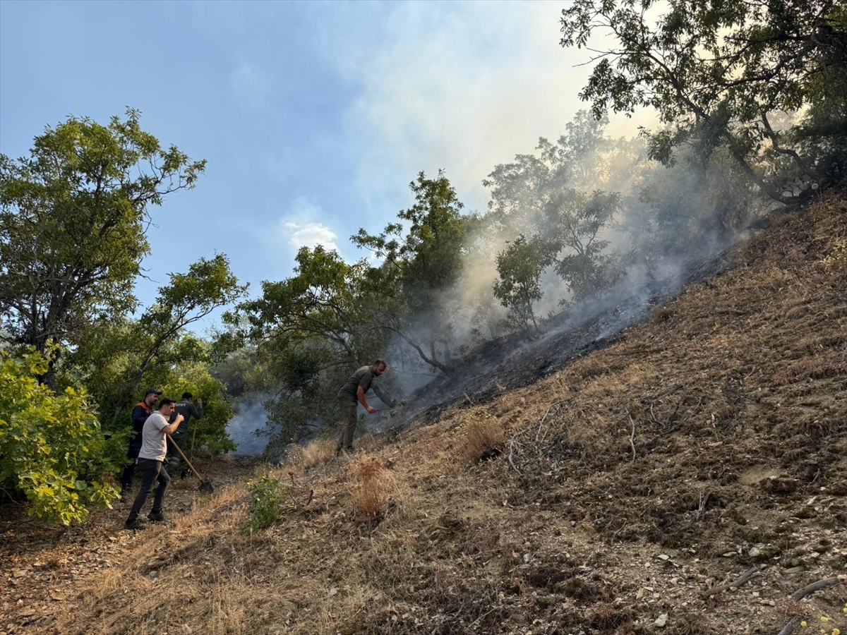 A A 20250902 38998866 38998864 B I N G O L D E C I K A N O R M A N Y A N G I N I N A M U D A H A L E E D I L I Y O R