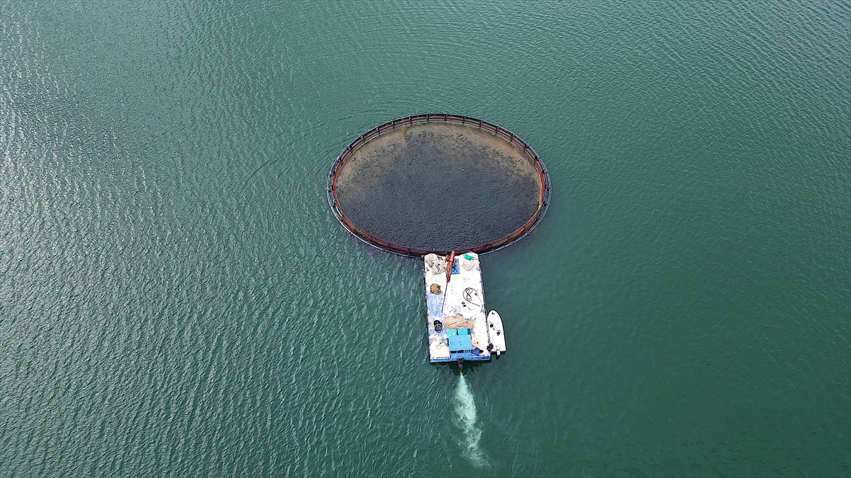 A A 20250915 39117668 39117655 B A Y B U R T T A Y E T I S T I R I L E N T U R K S O M O N L A R I N I N R U S Y A D A K I S O F R A L A R A Y O L C U L U G U B A S L A D I