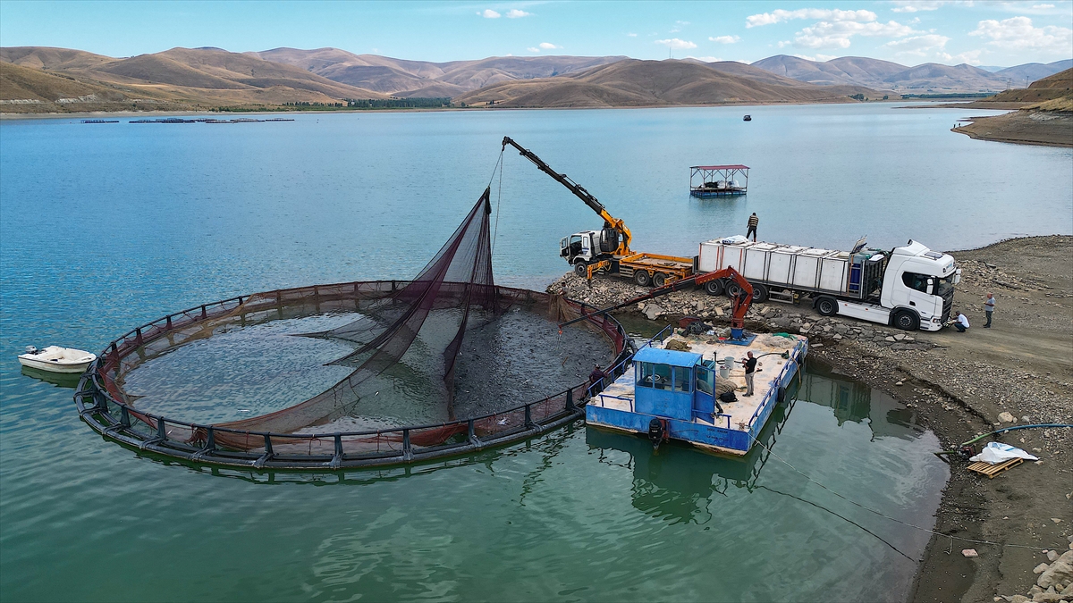 A A 20250915 39117668 39117657 B A Y B U R T T A Y E T I S T I R I L E N T U R K S O M O N L A R I N I N R U S Y A D A K I S O F R A L A R A Y O L C U L U G U B A S L A D I