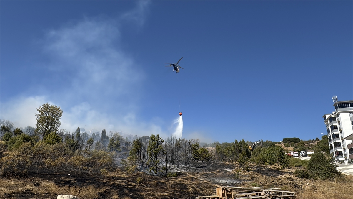 A A 20250922 39191484 39191483 B I L E C I K T E A G A C L I K A R A Z I D E C I K A N Y A N G I N K O N T R O L A L T I N A A L I N D I