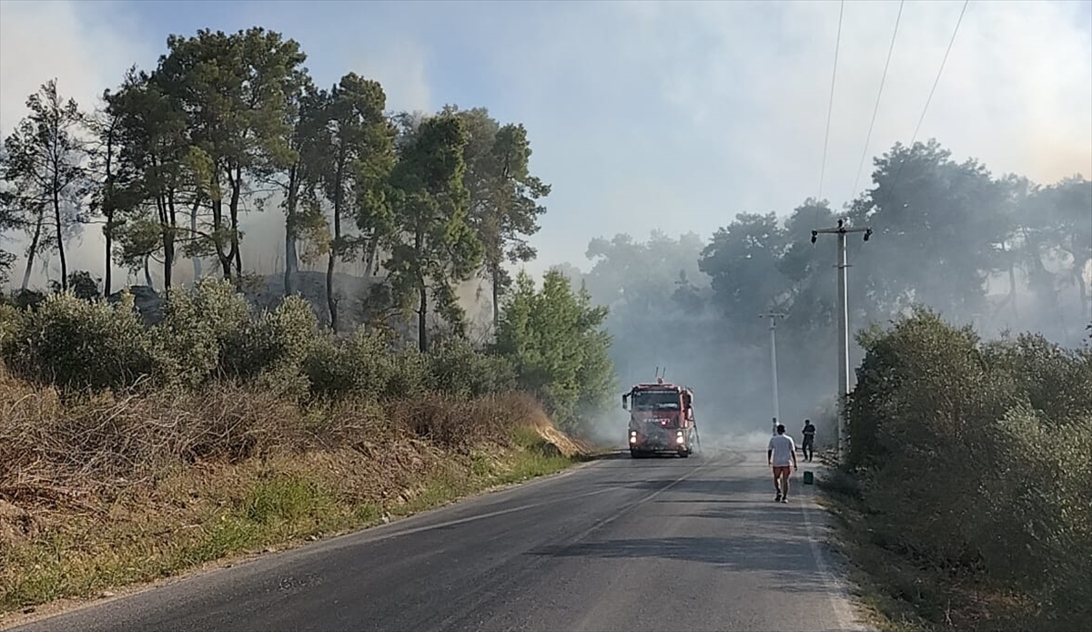 A A 20250924 39214151 39214145 M A N A V G A T T A T A R I M A R A Z I S I N D E B A S L A Y A N Y A N G I N O R M A N L I K A L A N A S I C R A D I