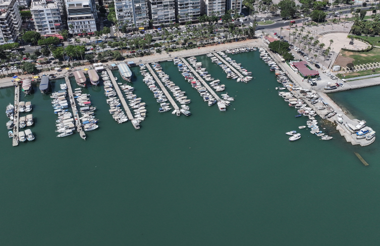 Aa Picture 20250914 39108584