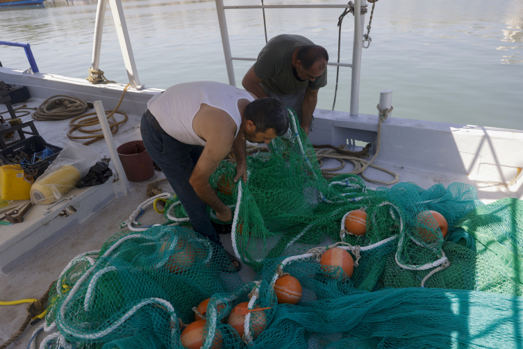 Aa Picture 20250914 39108629