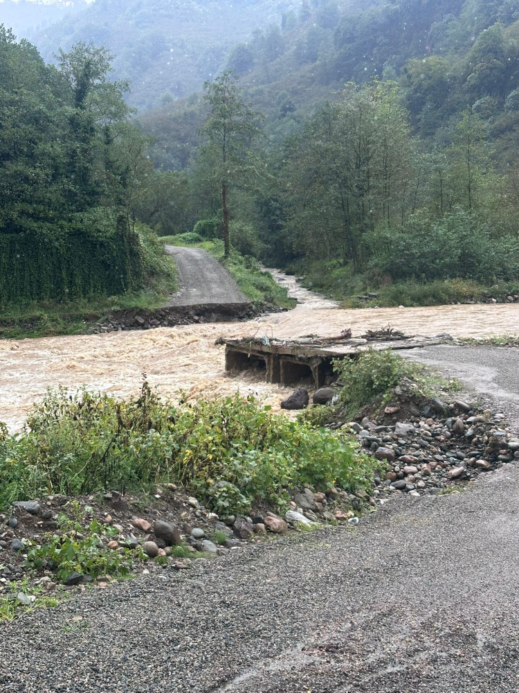 Aa Picture 20250920 39171622