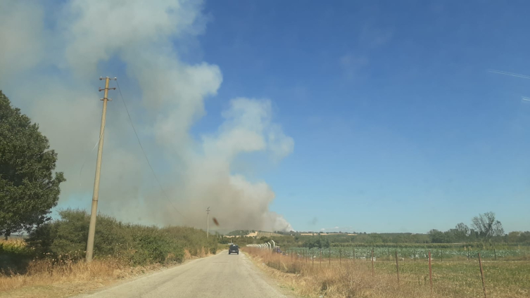 Aa Picture 20250921 39183173