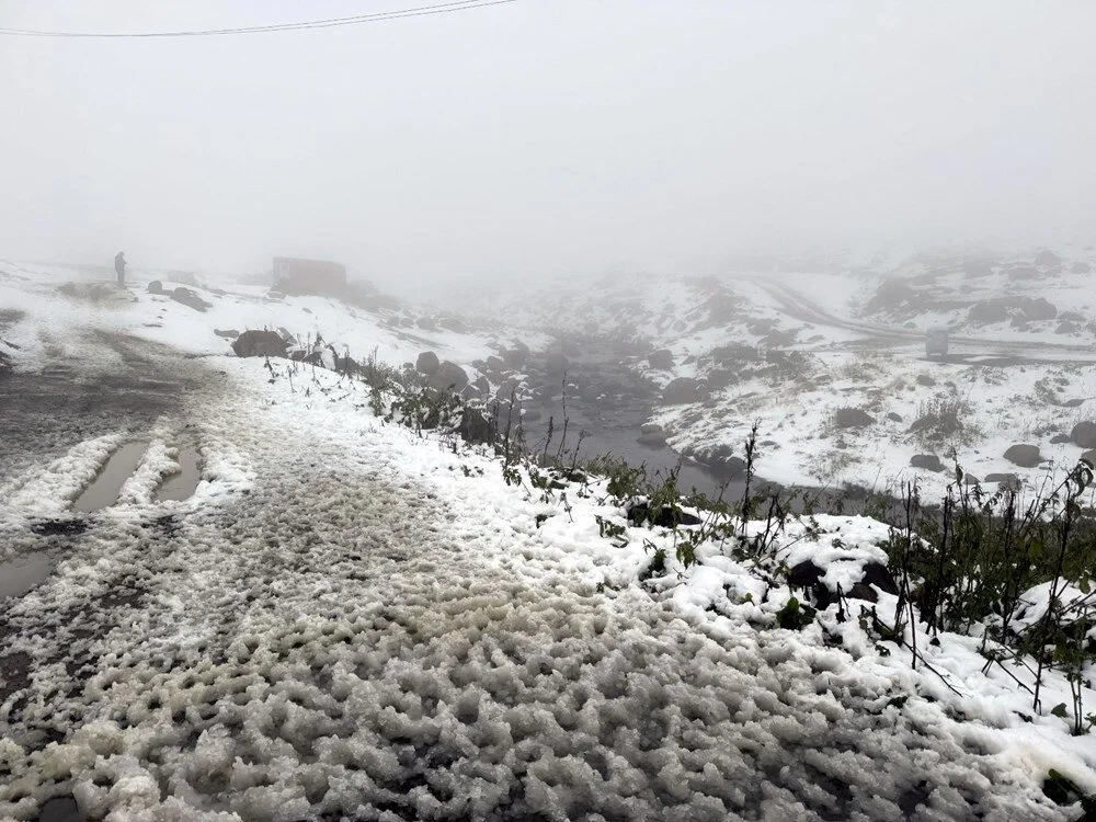 F Qmz1 He M7 E Sb80 F99 Ibo Gw