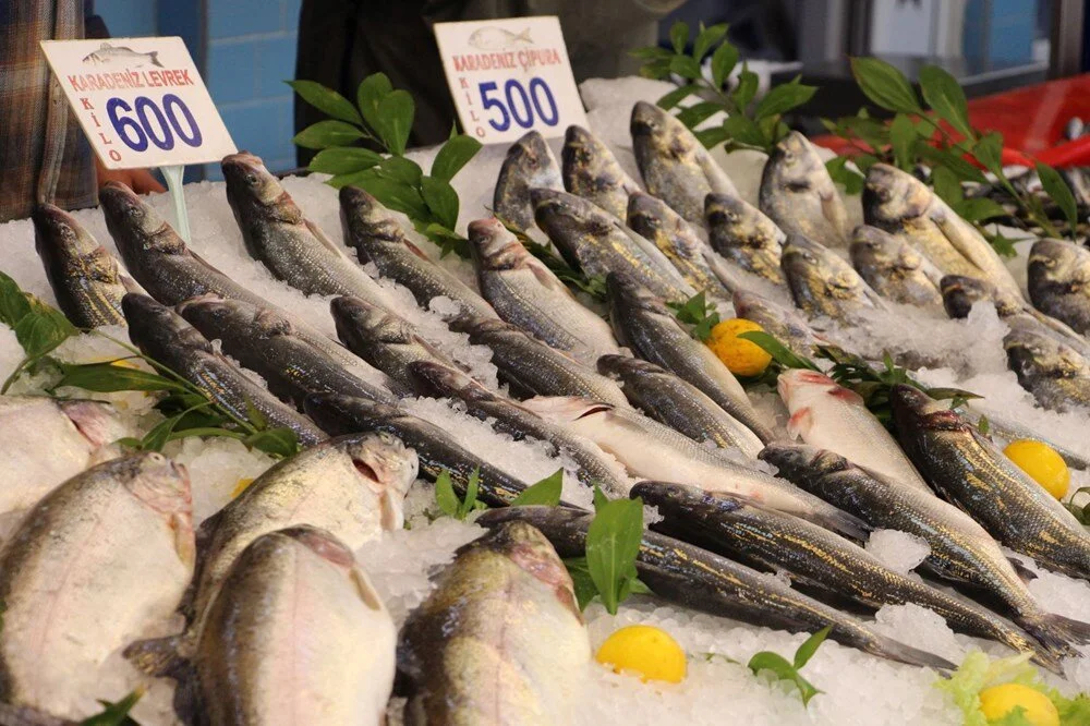 H59Ynh Tgg U Z5Hb37 Qma Hw