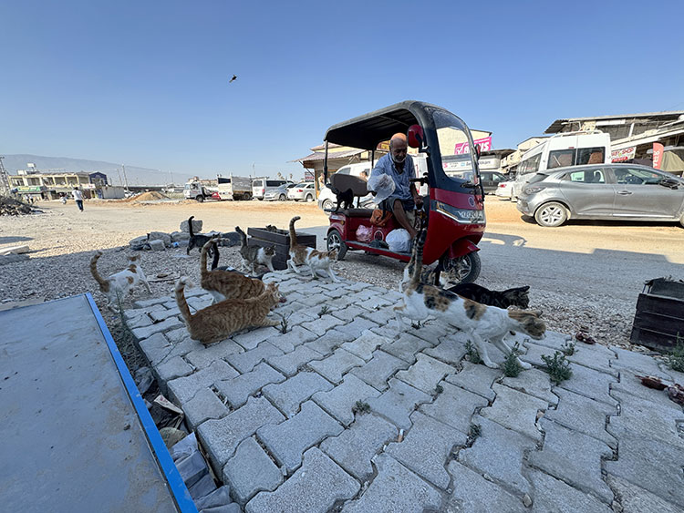 Koah Hastası Depremzede Oksijen Cihazından Ayrıldığı Saatlerde Sahipsiz Hayvanları Besliyor2