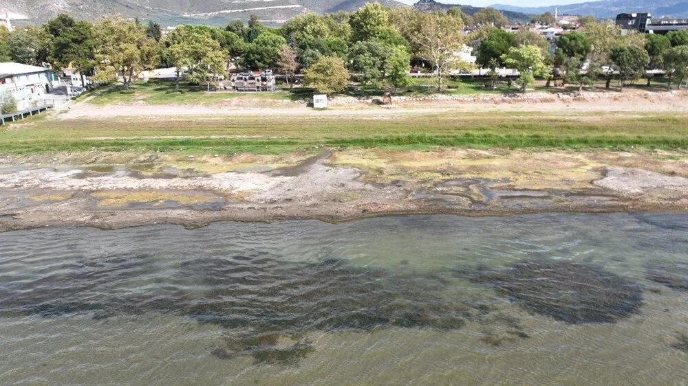 M O Z Ux L6Iq0Uh Imy3Oqc Y5G