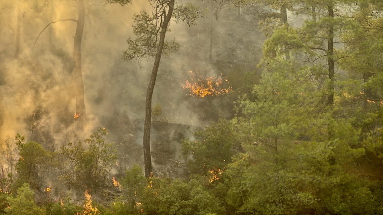 M U G L A K O Y C E G I Z D E K I O R M A N Y A N G I N I N D A 2 N 274068 Media5